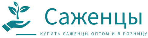 Саженцы.site